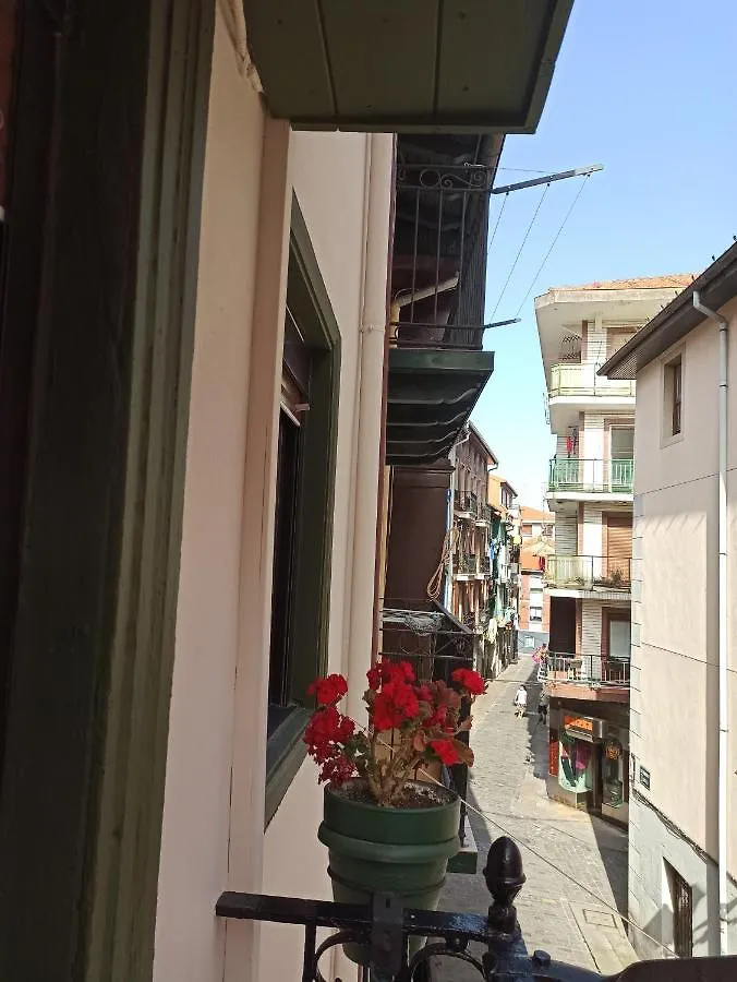 Gure Erremedio Apartment Bermeo Spain